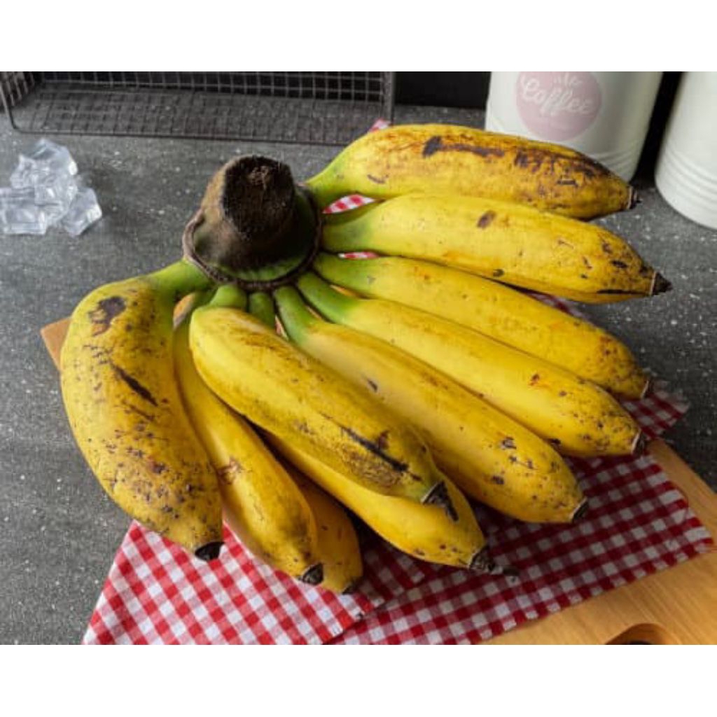 

Pisang Uli Segar – Cocok untuk Gorengan, Kolak, Sale, Isi Banyak!