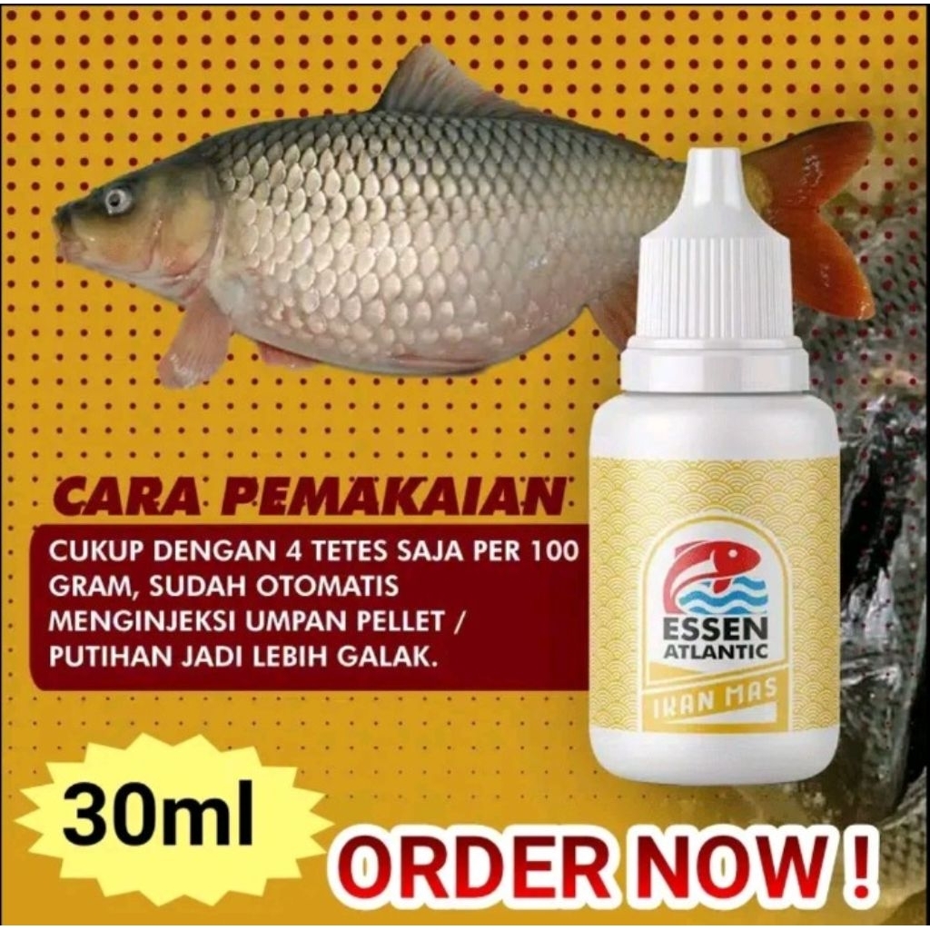 ESSEN ATLANTIC | Ikan Mas indok / totalan Essen Oplosan Galatama | harian | essen racikan para juara