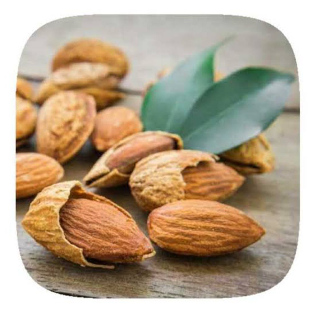 

Kacang Almond Cangkang Madu 100gr Khas Arab ASI Booster MPASI dan Oleh Oleh Haji dan Umroh