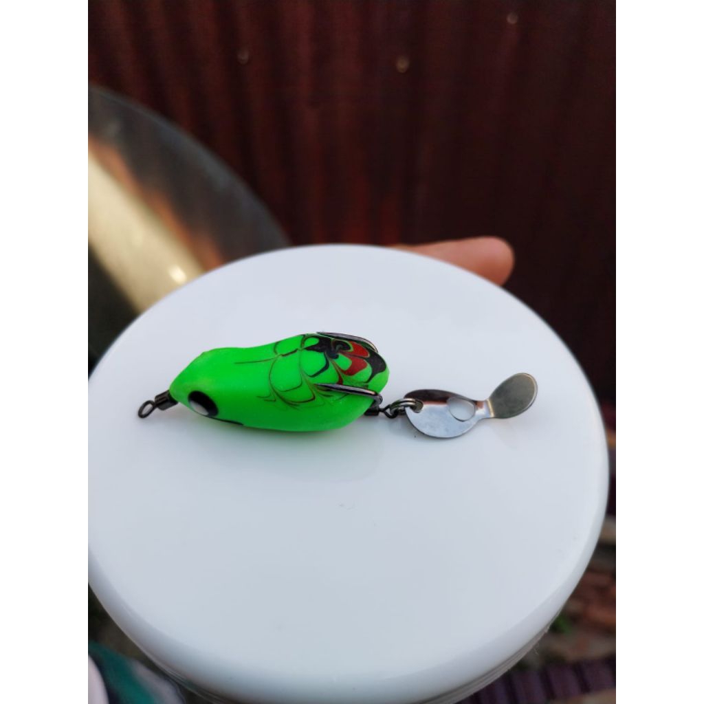 umpan casting berisik konceklure // umpan casting toman gabus