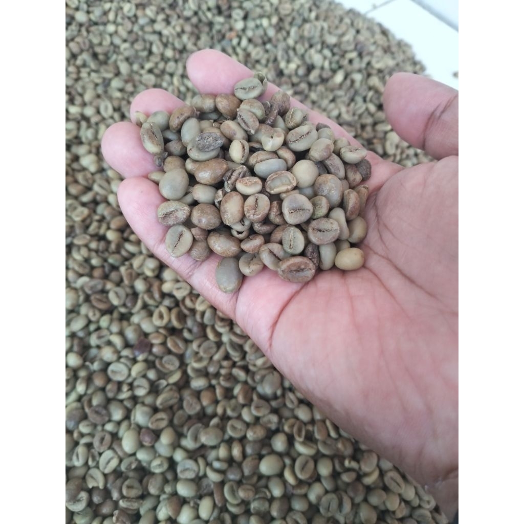 

kopi robusta 500g tebus murah