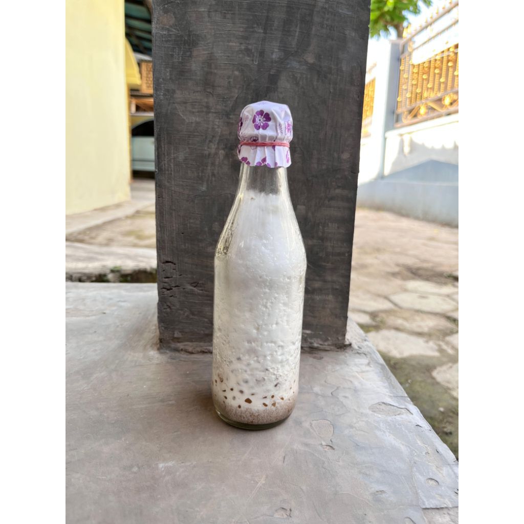 Bibit F1 Jamur Tiram Putih