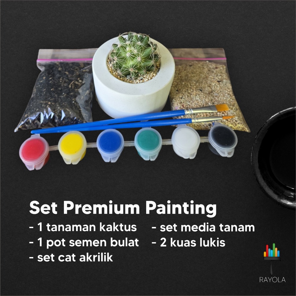 

Paket Art Activity Melukis dan Menanam Kaktus Sukulen Sanseveira Murah Set Painting Lengkap Hampers Gift DIY