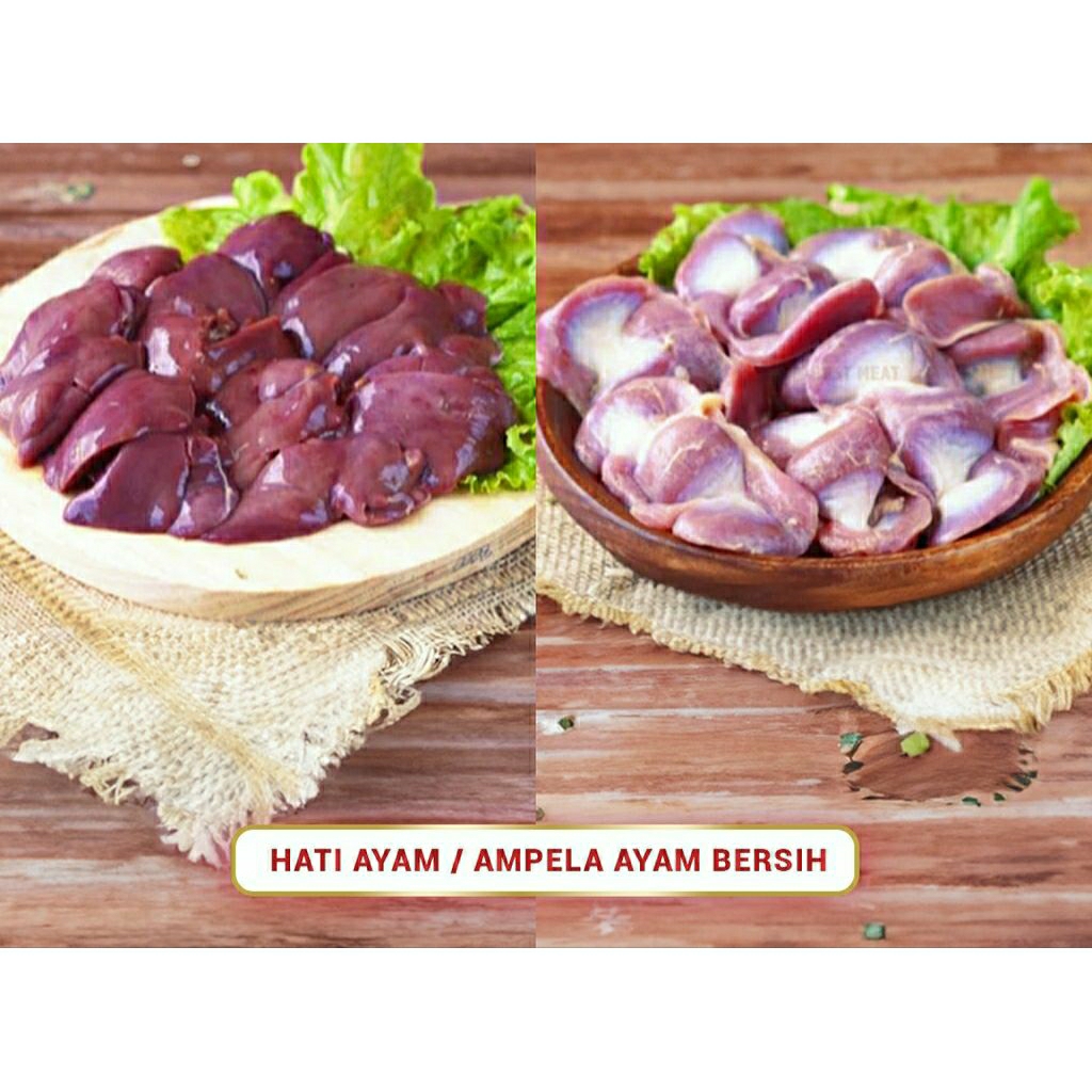 

Ati ampela ayam boiler fresh