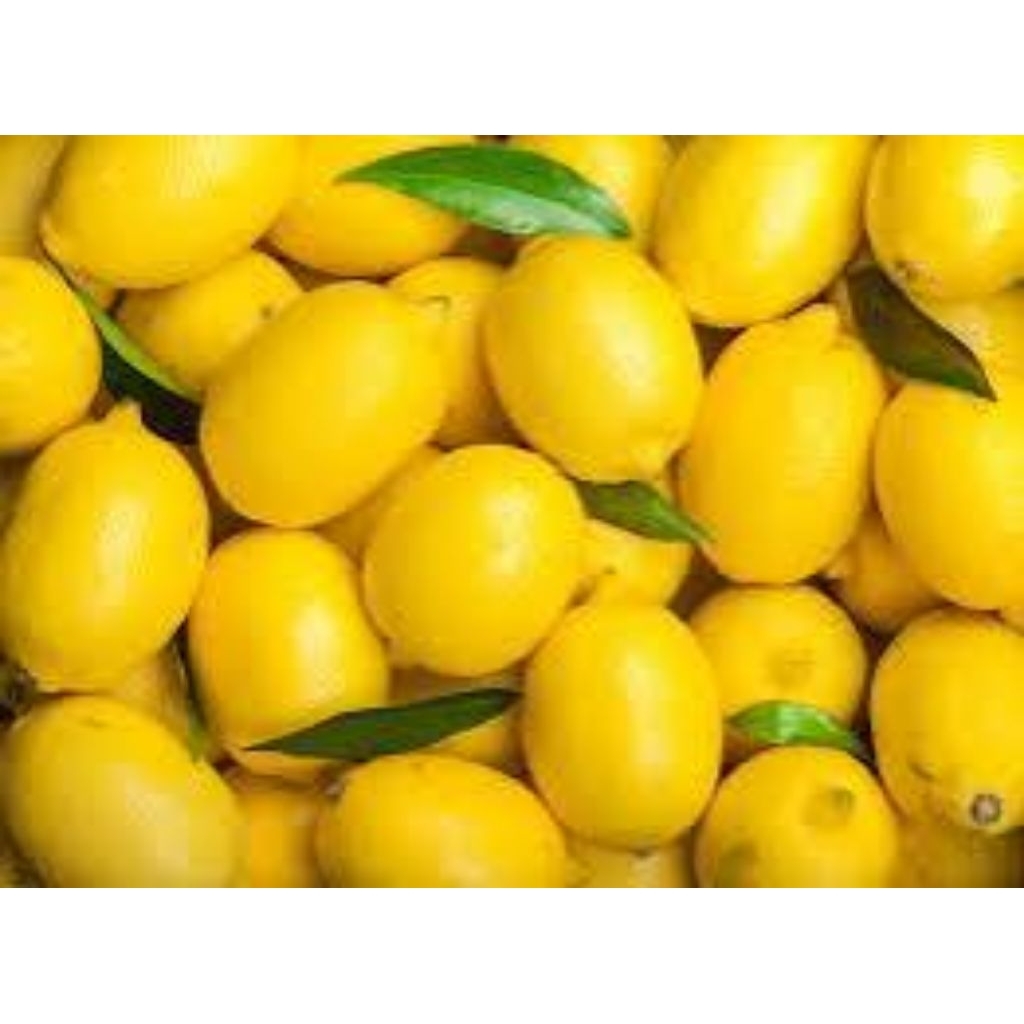 

jeruk lemon lokal buah segar dan berkualitas