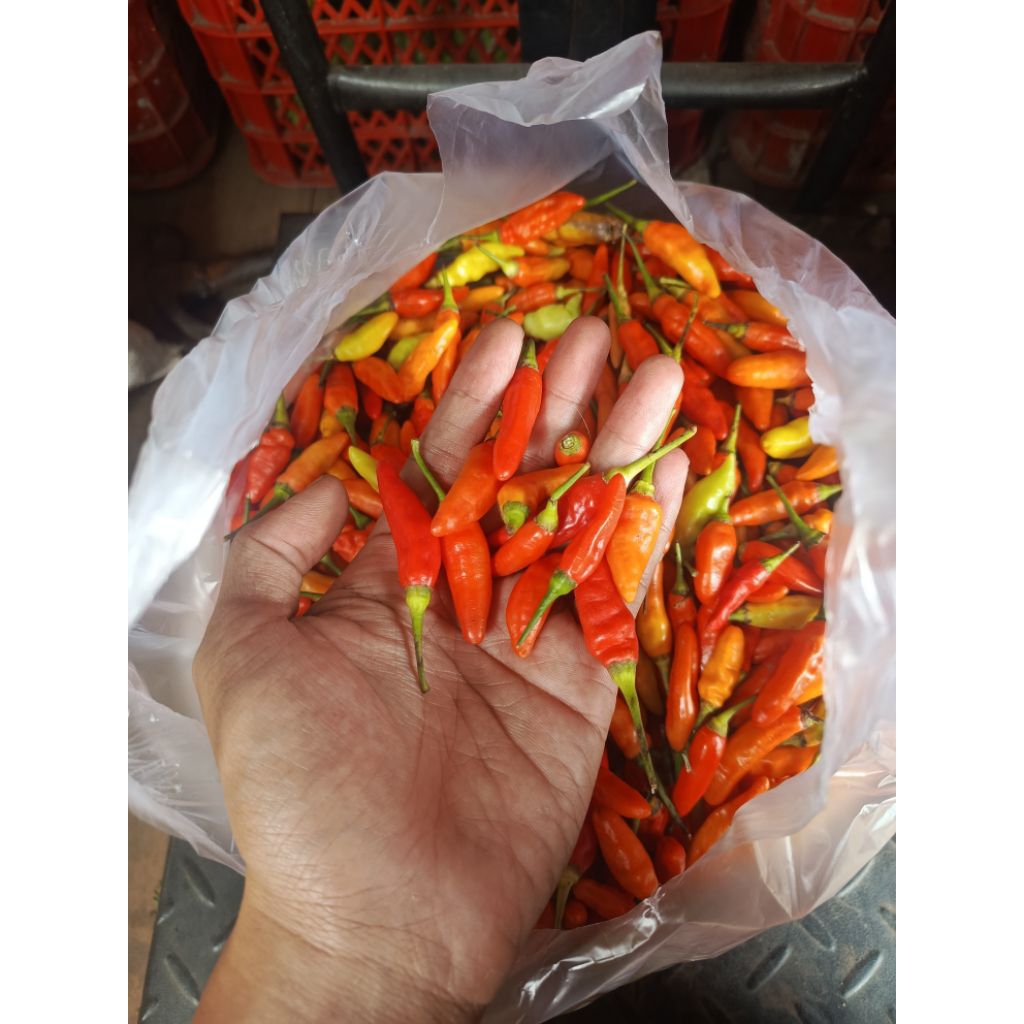 

Cabai Rawit Merah ORI 500gr Segar