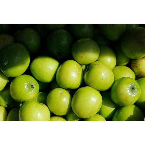 

Apel Vietnam 600g Ecer