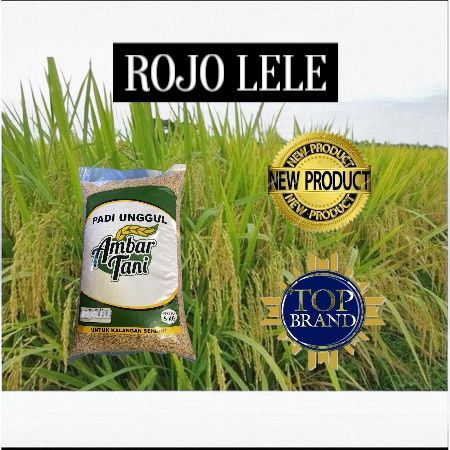 BIBIT BENIH UNGGUL PADI ROJO LELE KEMASAN 5KG PREMIUM