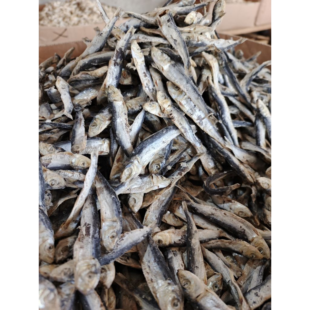 

Grosir ikan asin, ikan asin japu kecil, ikan japu kering, ikan japu keriting, berat 1000gram