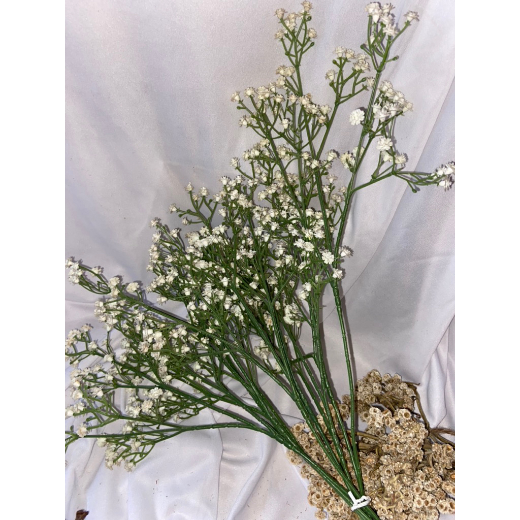 Bunga Baby Breath putih per tangkai perlengkapan bahan buket tegal