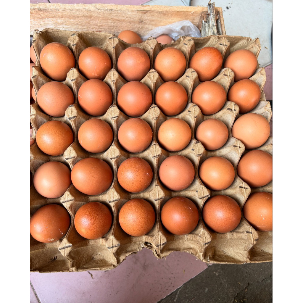 

telur omega 1kg FRESH