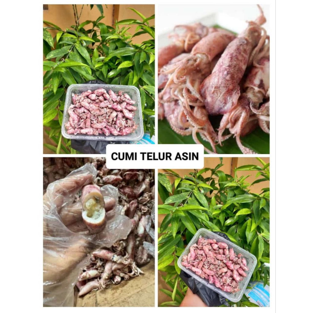 

Baby Cumi telur rebus baby cumi isi telur premium
