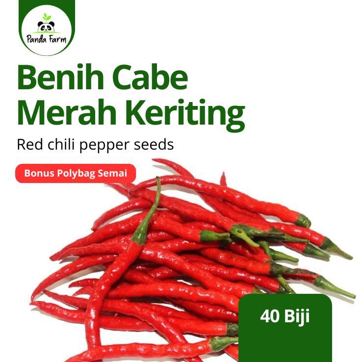 [isi 20-30] Benih Biji Bibit Cabai Cabe merah keriting lokal unggul