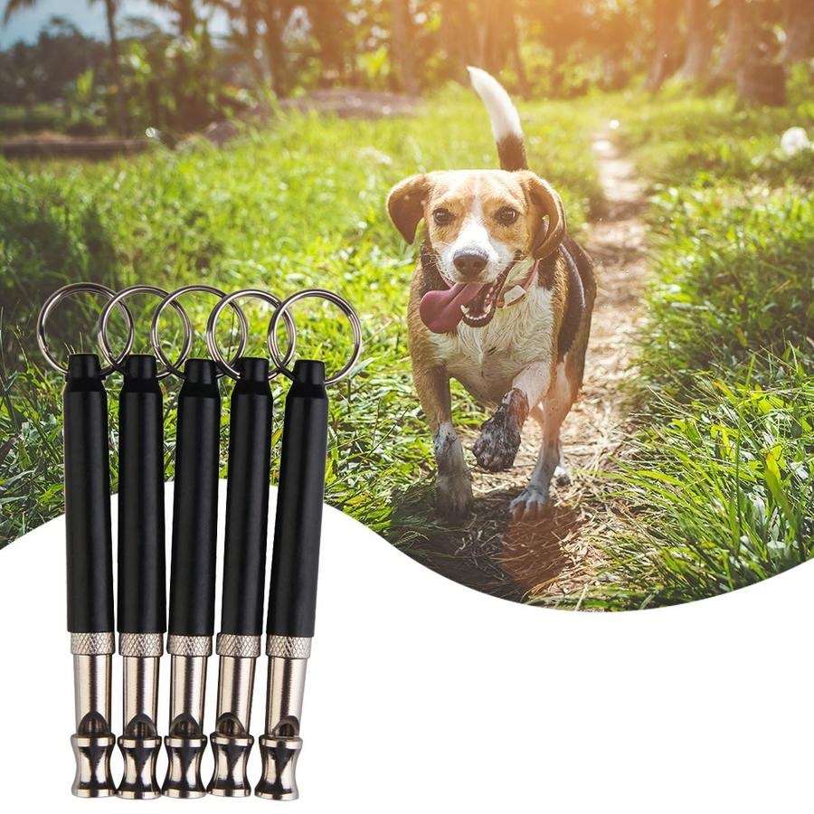 Peluit pluit Ultrasonik 2 Nada latih anjing burung parrot macaw elang toko cica murah