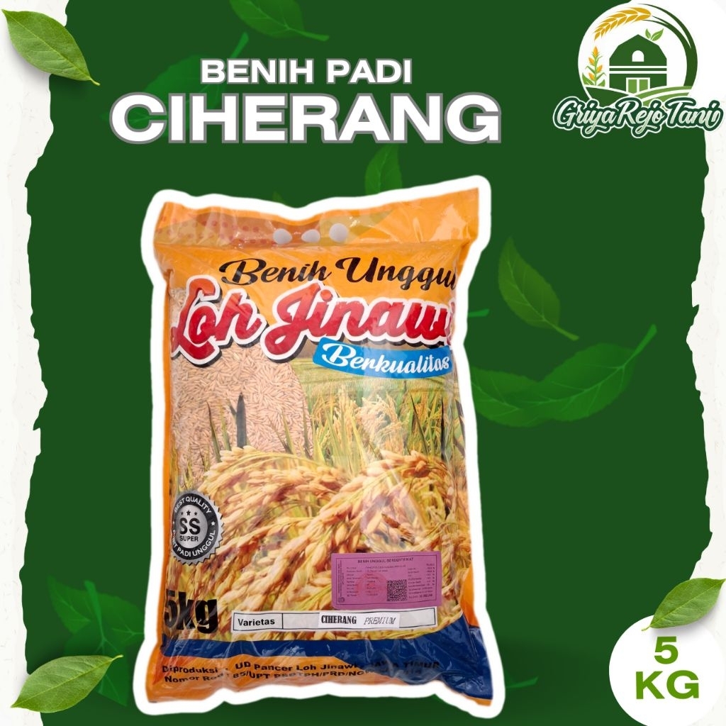 

Benih padi CIHERANG 5KG - LOHJINAWI