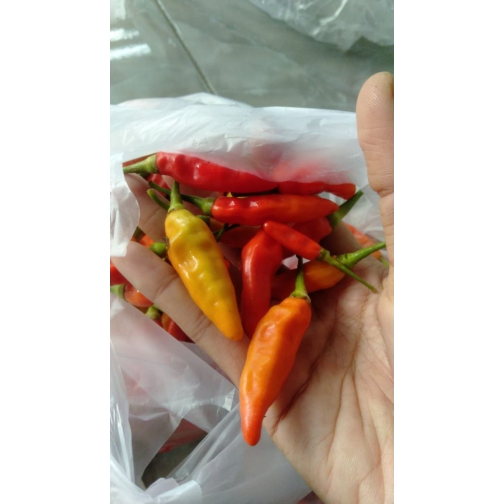 

Cabe Sret Cabai Fresh Sambal