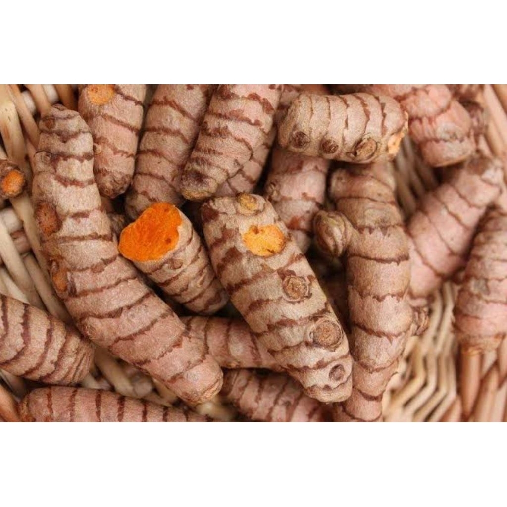 

Kunyit Lokal olahan petani