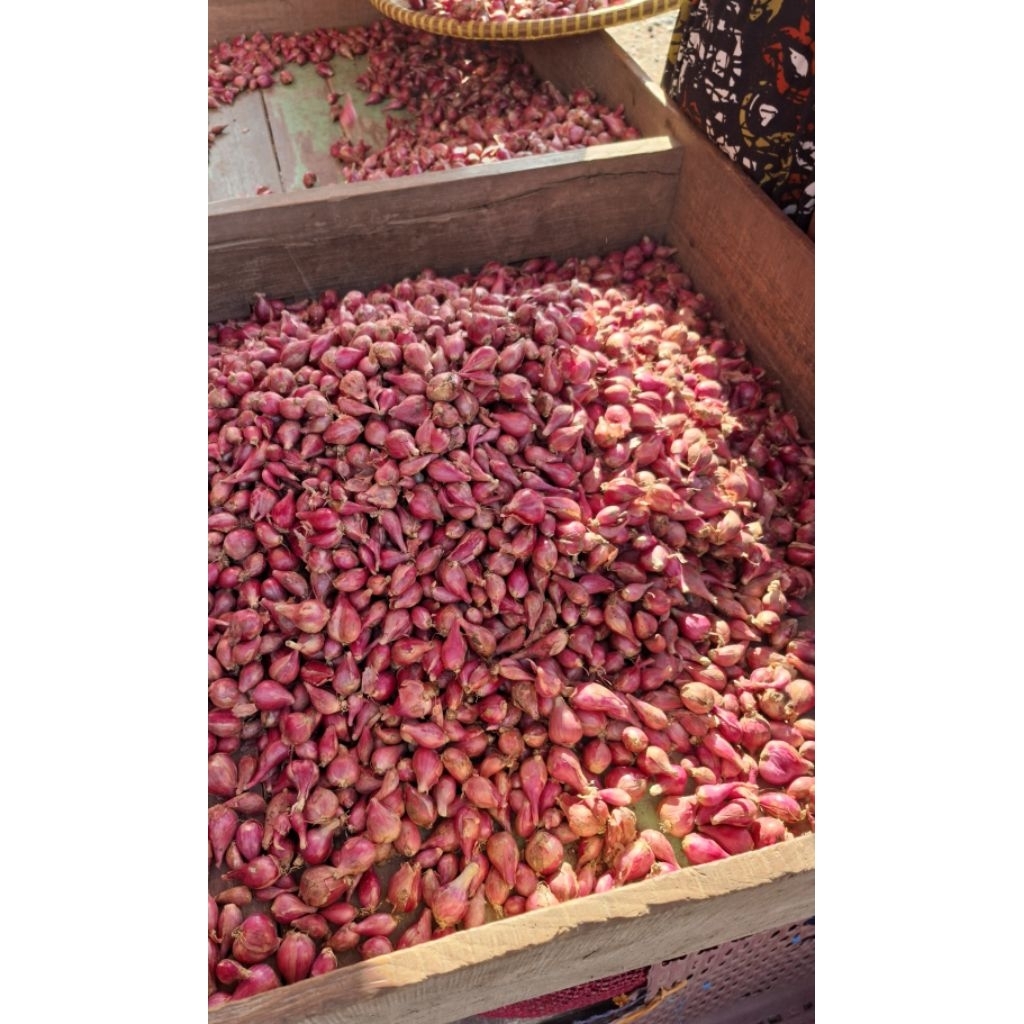 

Bawang merah brebes 500 gr