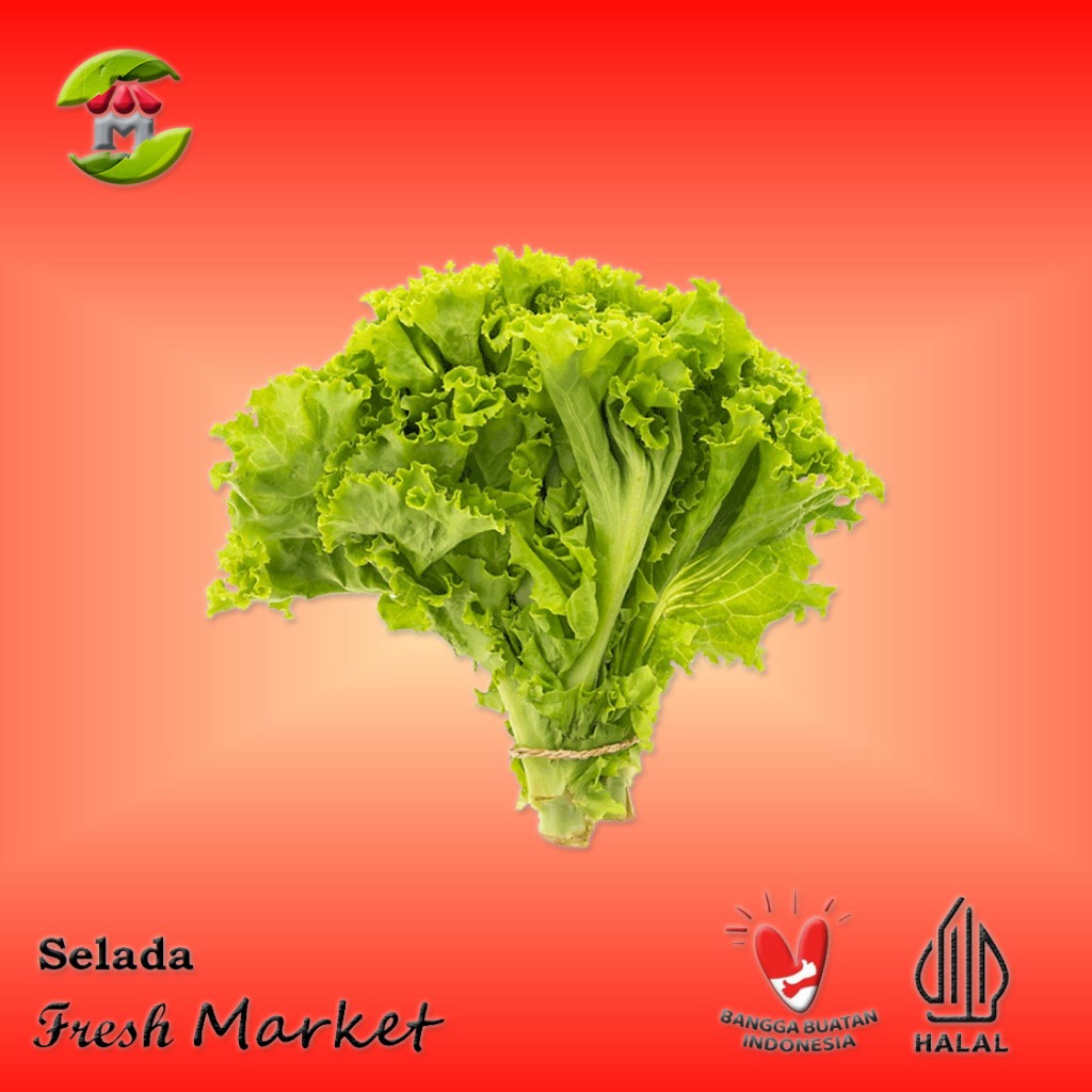 

[JAKTIM] Selada Segar Pack 250gr