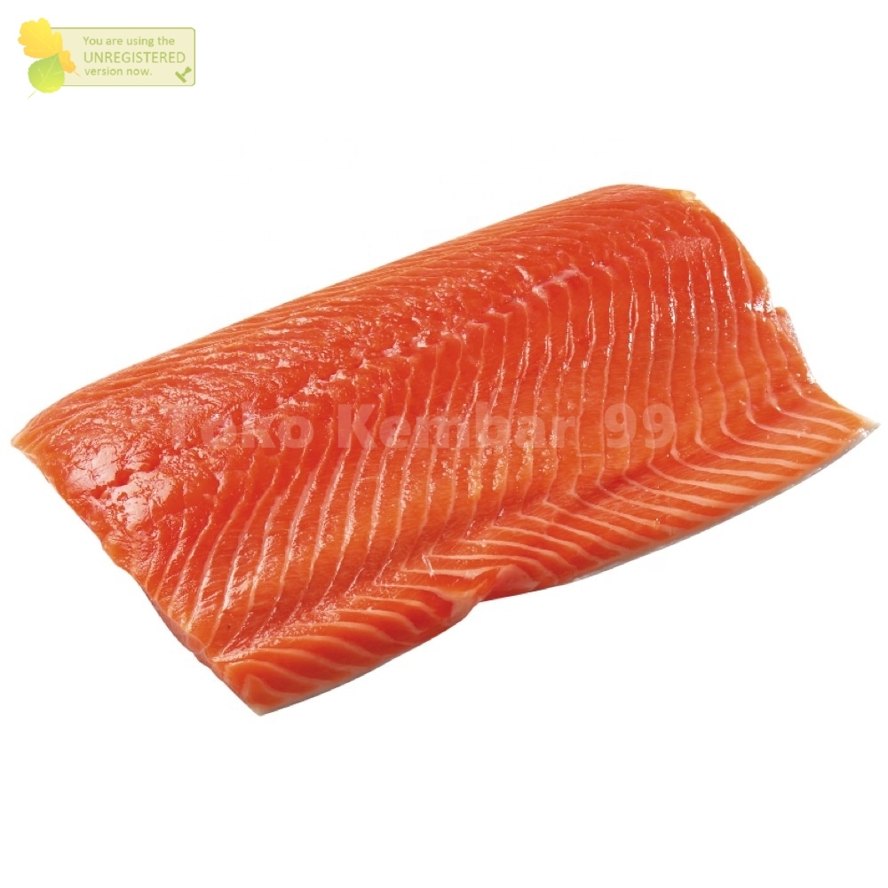 

Ikan Salmon Trout Norwegia Fillet Utuh