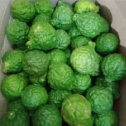 

jeruk purut segar ukuran sedang 1/4