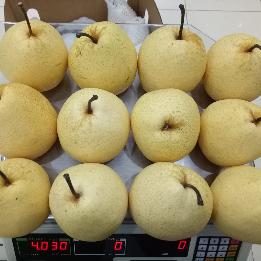 

Buah Pear Sweet MANIS 11-12kg HARGA GUDANG DIJAMIN MURAH TERMURAH