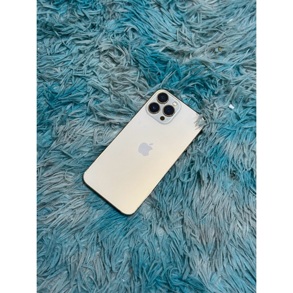 Iphone 13 Promax
