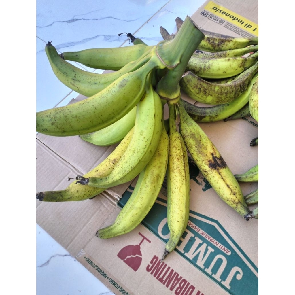 

Pisang Tanduk 1 Kg Garansi sampai di terima