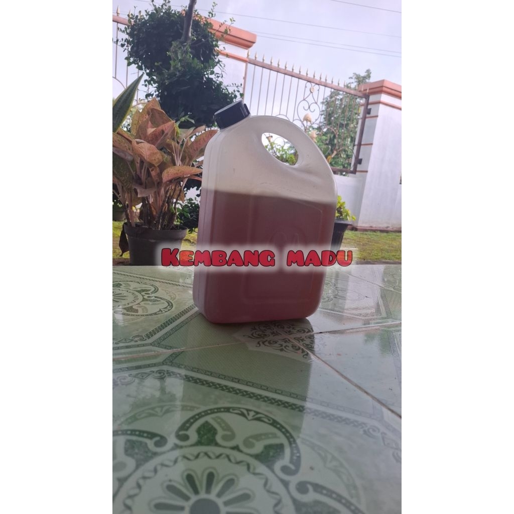 

MADU MURNI | KEMBANG MADU | 5kg | 5.000gr | MADU MURNI 100% MULTIFLORA | LEBAH MADU MULTIFLORA | LEBAH MELIFLORA