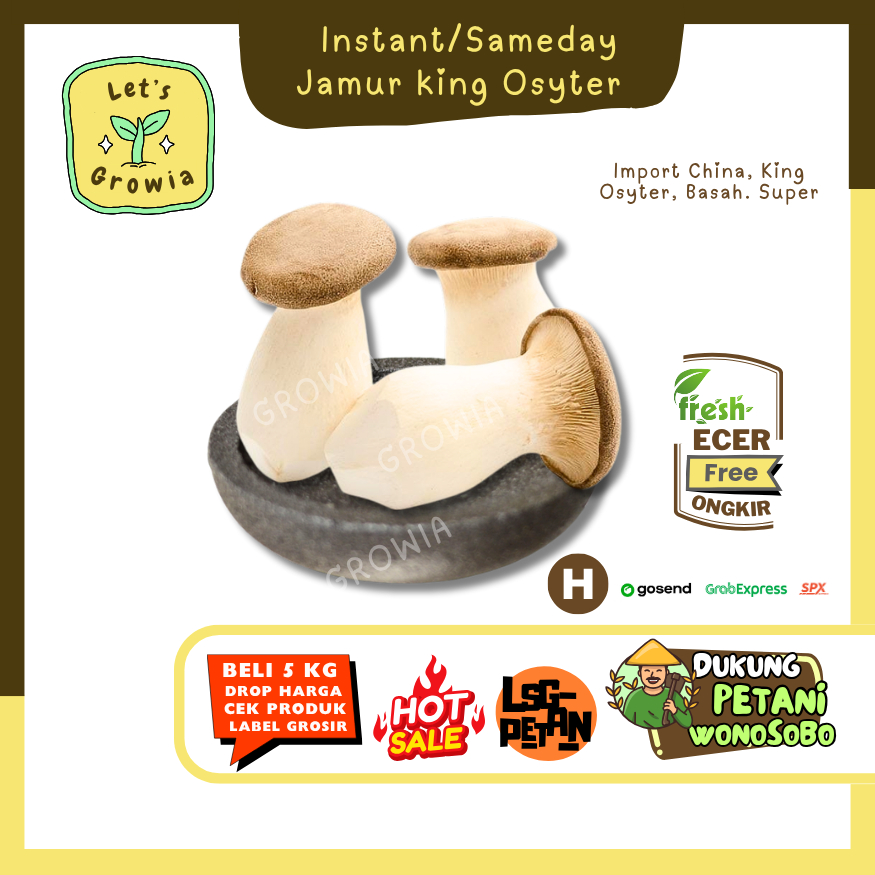 

Growia || Jamur King Oyster -- Hasil Petani Langsung Ecer Sayur Gunung (H)
