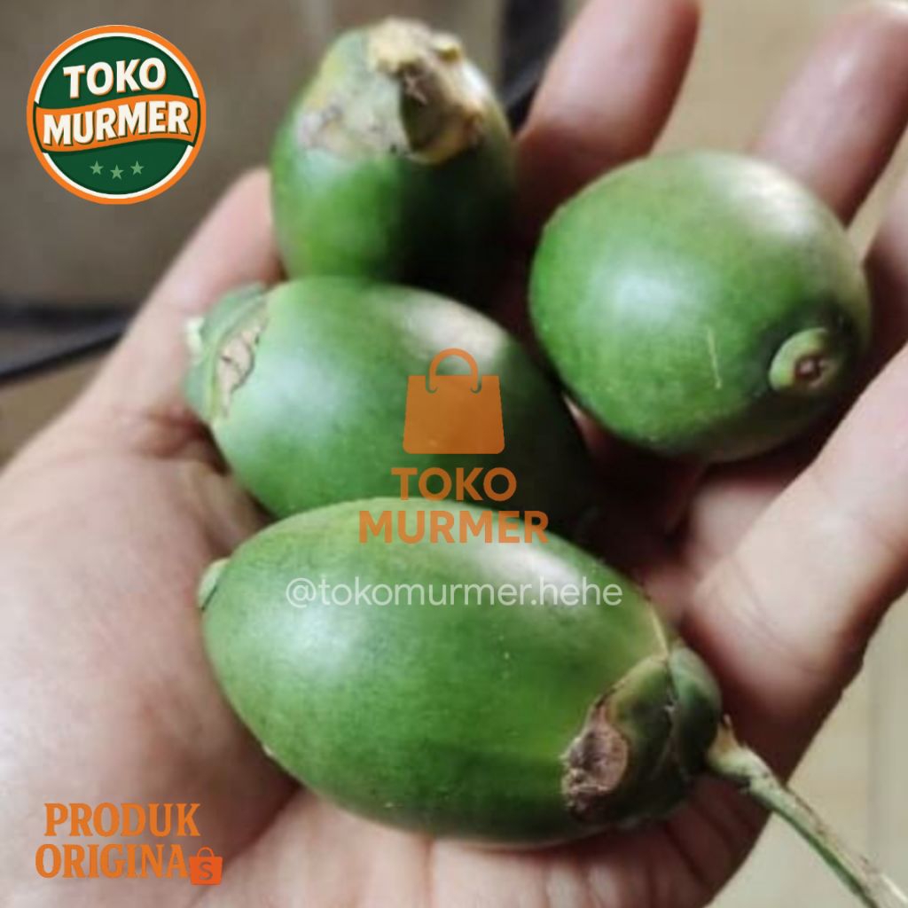 

Buah pinang muda atau buah jambe herbal multi khasiat 500 gram kualitas super_Toko murmer