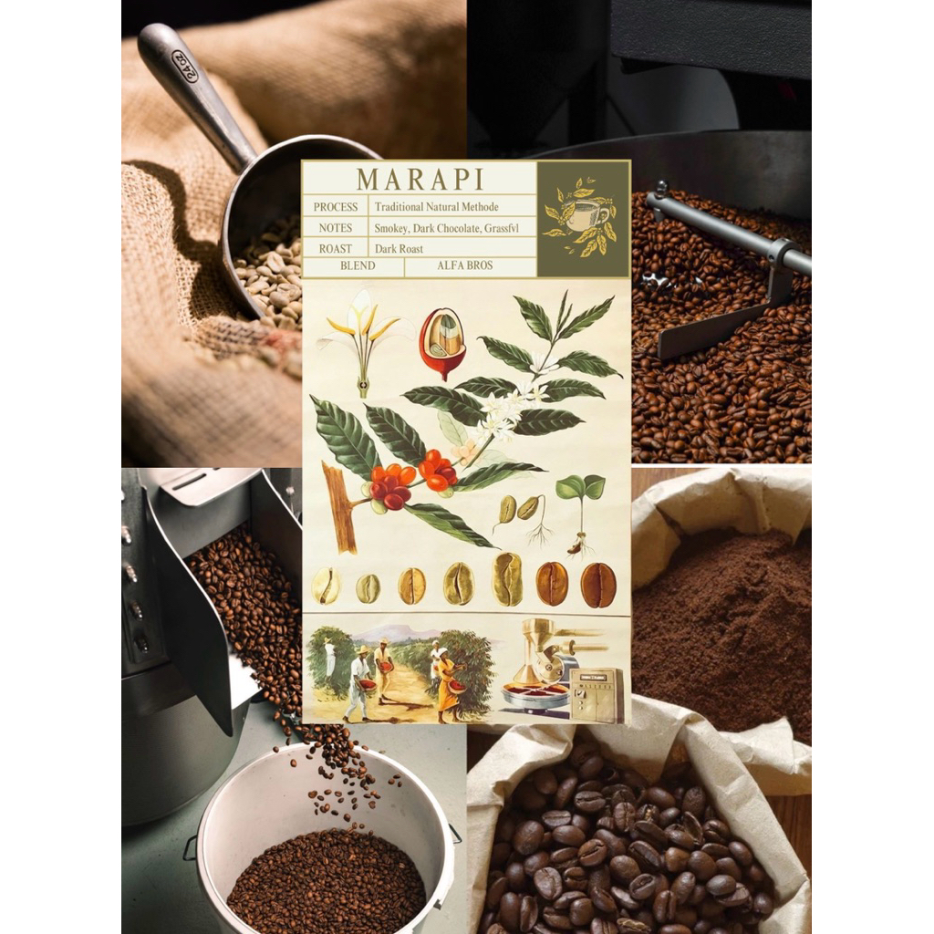 

Marapi Coffee Beans