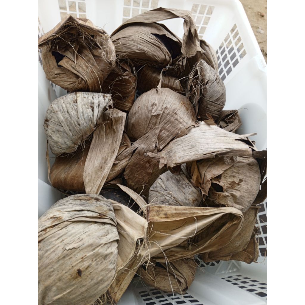 

Gula Aren Batok 1biji