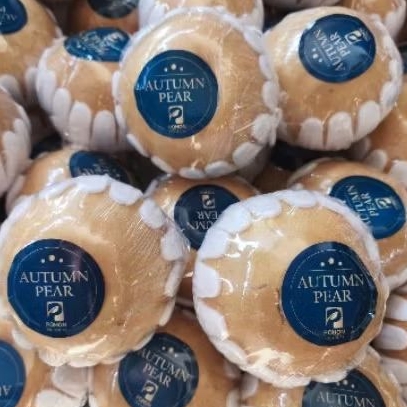 

Buah pear autumn pohon super premium segar 1 kg