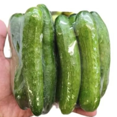 

Timun mini cucumber super segar Timun baby cucumber 500 gram