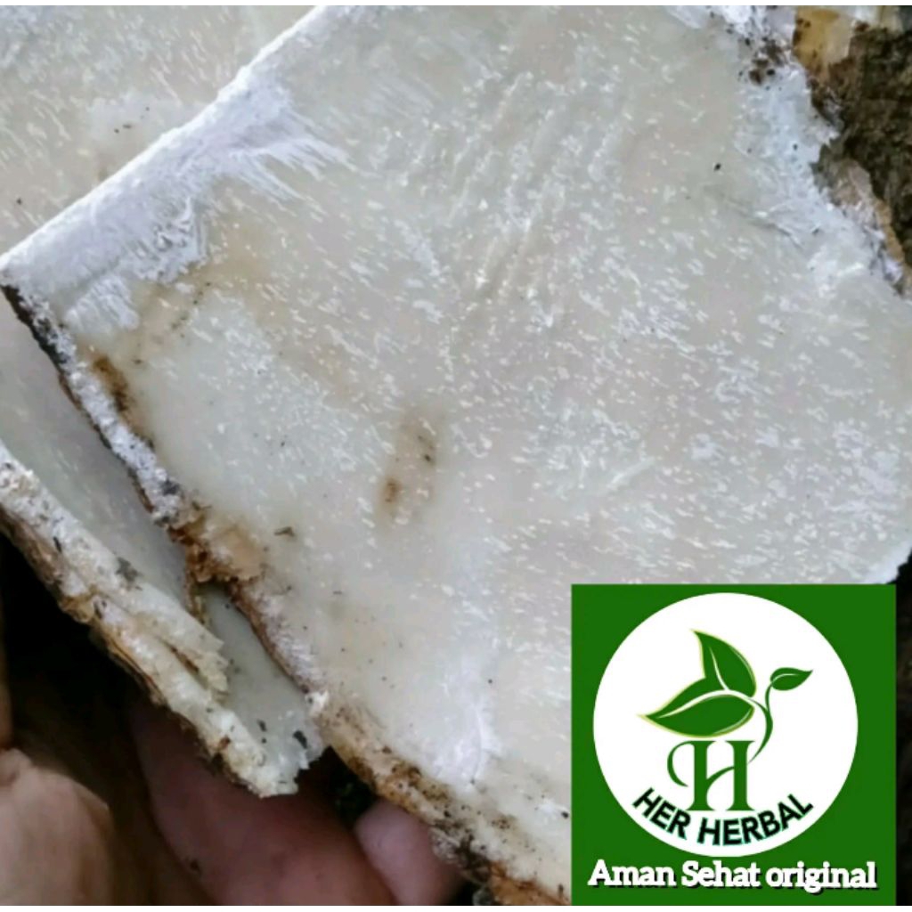 

kulit pohon bungur 500 gram