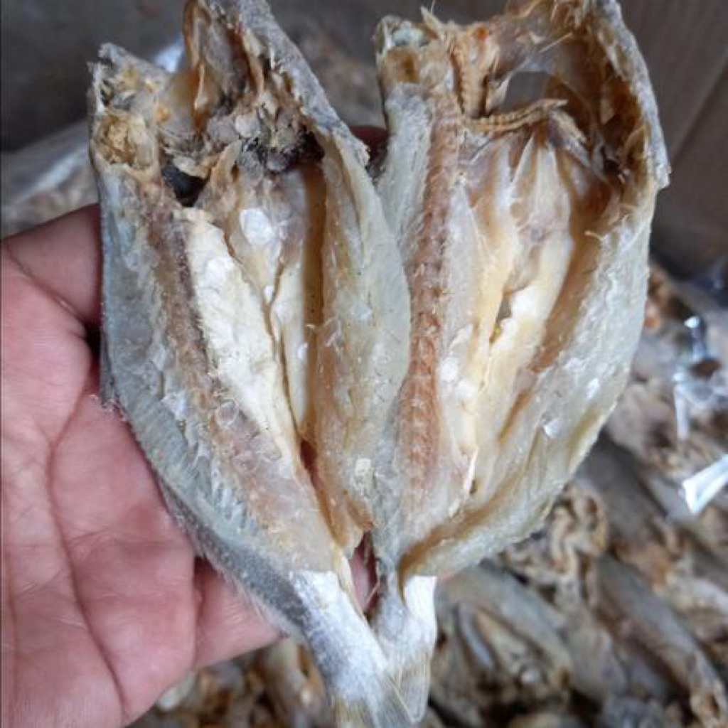 

samge belah 500gram segar & fresh