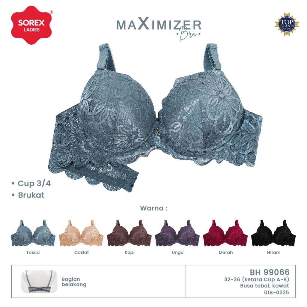 W342 Sorex Bra Busa Tebal Ada Kawat, Bra Kawat Busa Tebal Dua Pengait Cup A Size 32 -36