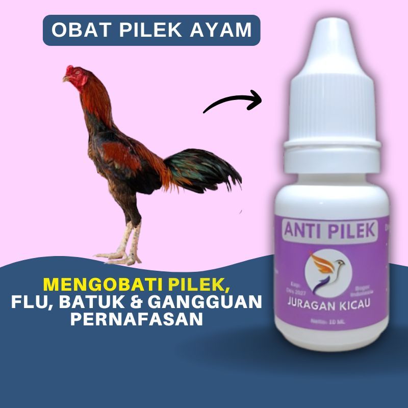 Obat Ayam Pilek Flu Batuk Infeksi Tenggorokan Dan Gangguan Pernafasan