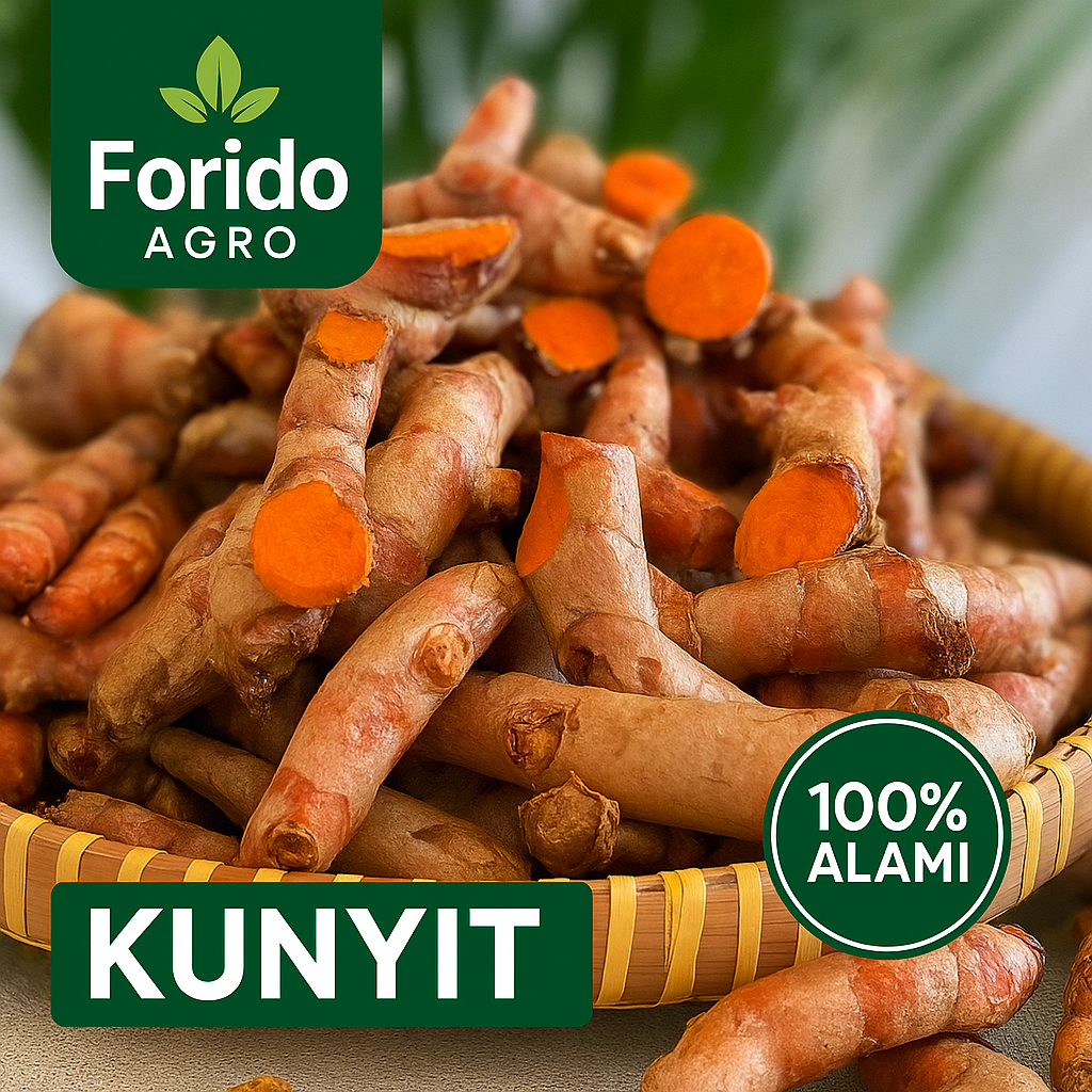 

Kunyit Segar 100 % Alami Kunir Bumbu Masak 1Kg Grade A Kualitas Super Kunyit Organik Langsung Dari Petani