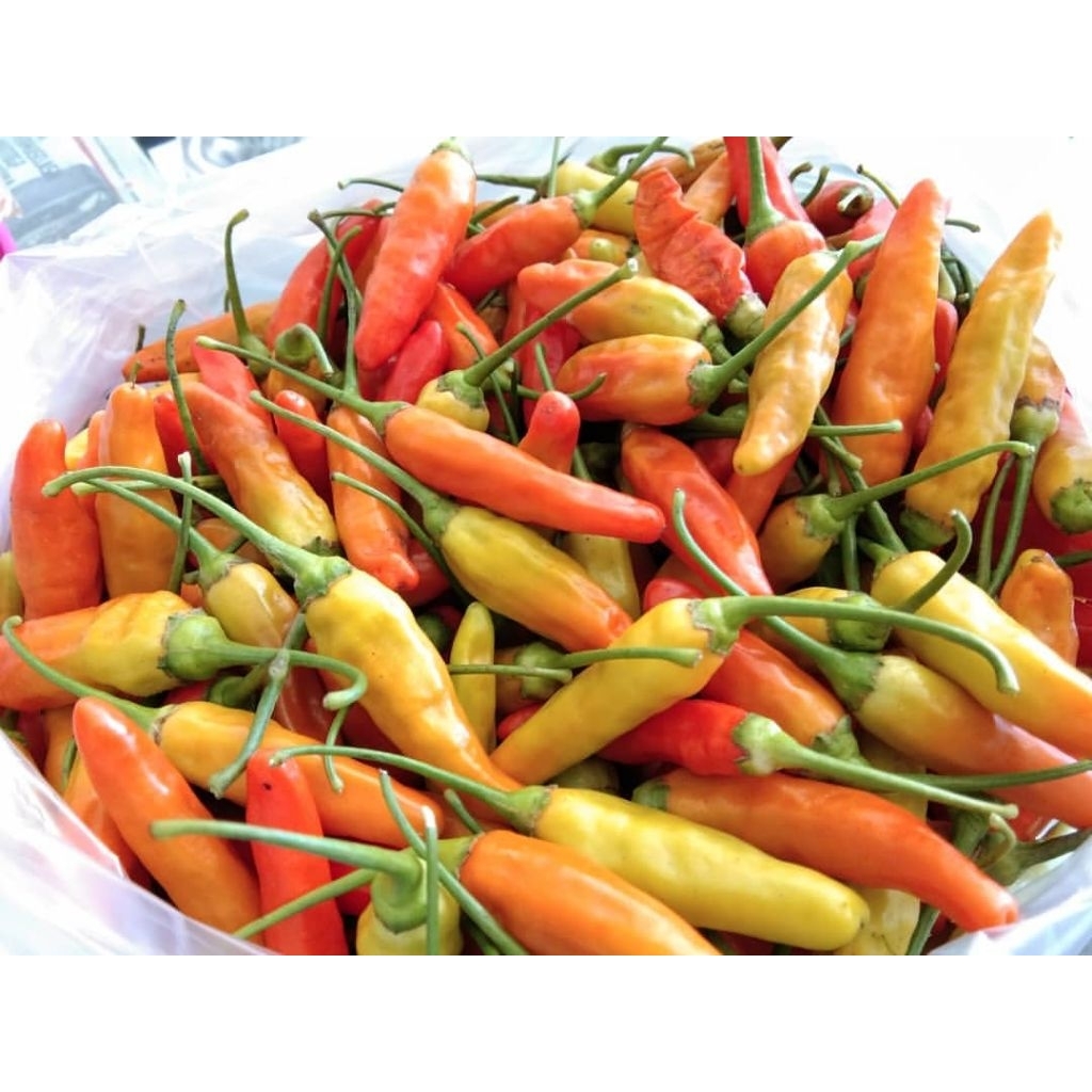 

Cabe Pedas Super 250g