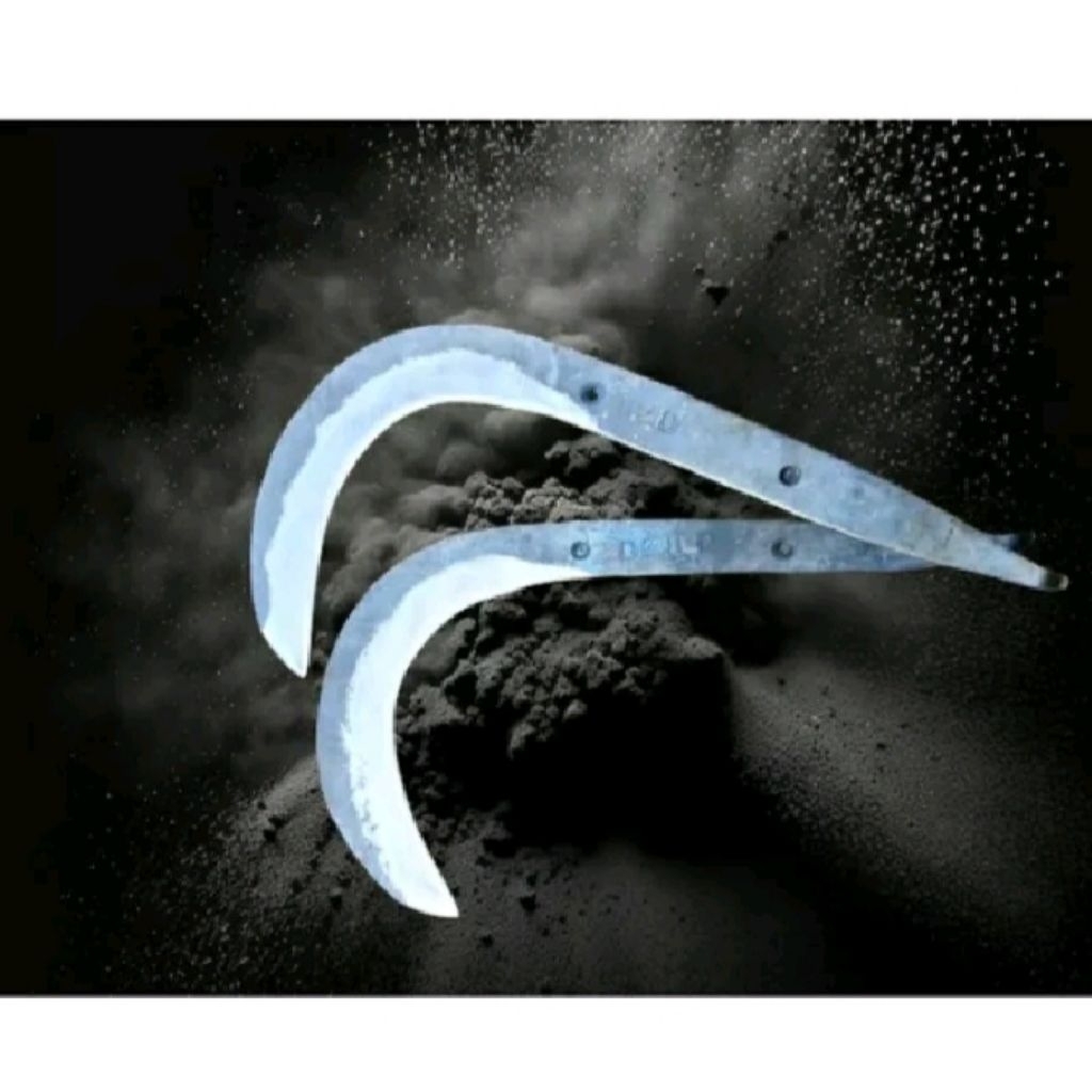 

pangait buah serbaguna, bisa buat daun pisang