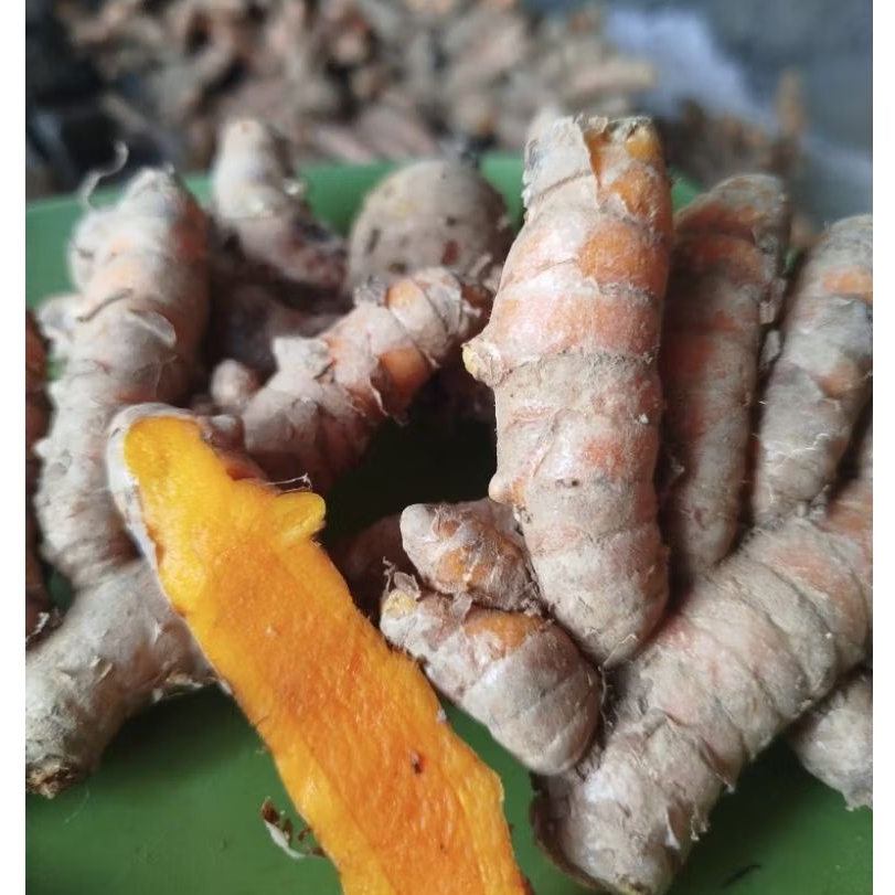 

kunyit segar kunir fress 1kg