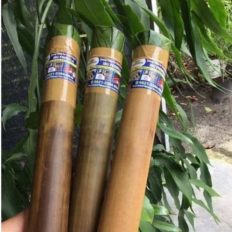 

Lemang Bambu-LEMBAM/Lamang khas kalteng/Lamang ketan/Lamang kalimantan