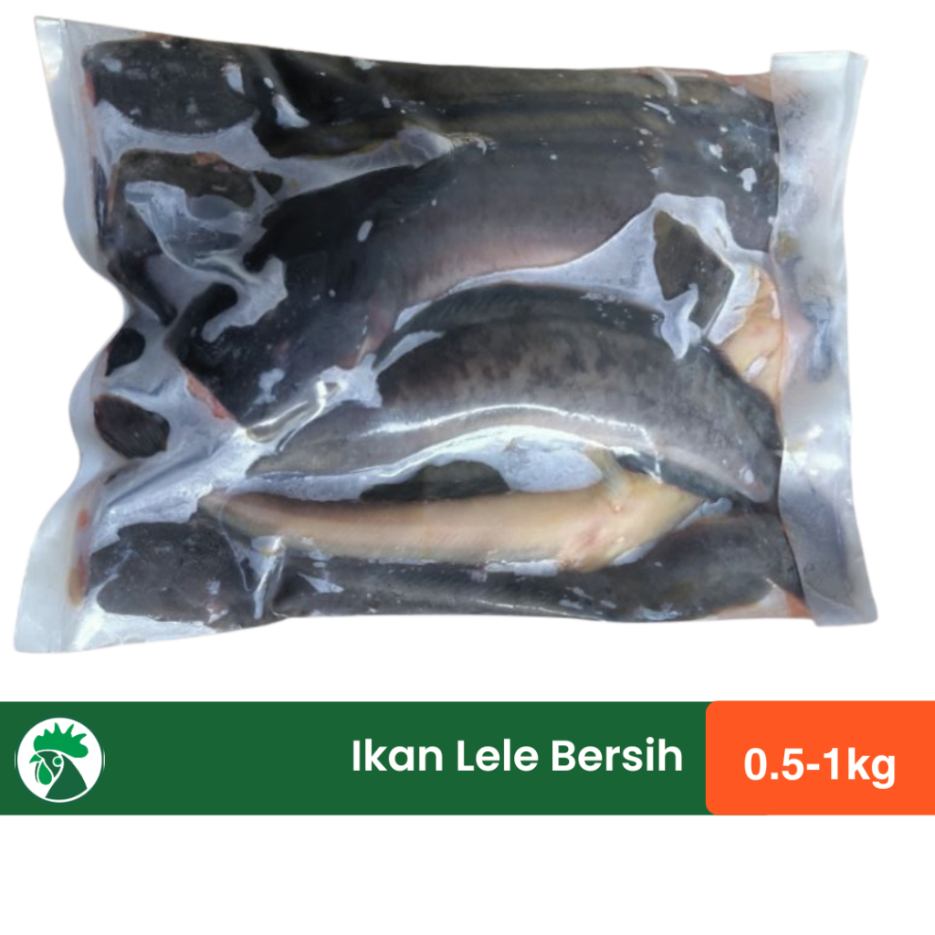 

Ikan Lele Bersih | Ukuran 8-10 ekor/kg