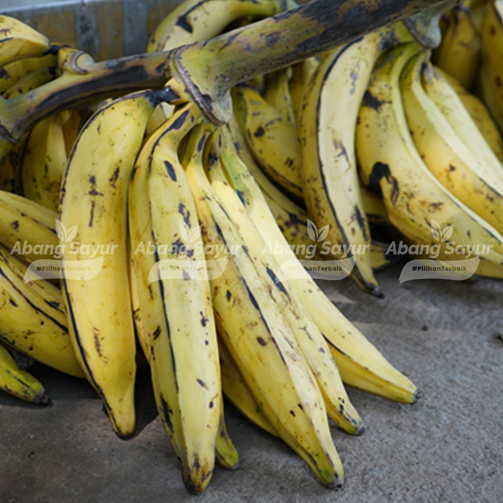 

Pisang Tanduk 1kg - Kirim Instant Bandung Super Fresh | Bisa Digoreng atau Dimasak | Manis & Besar