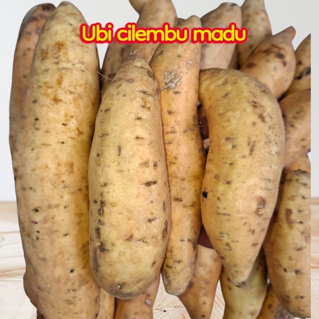 

Ubi Cilembu Madu 1Kg Buah Segar