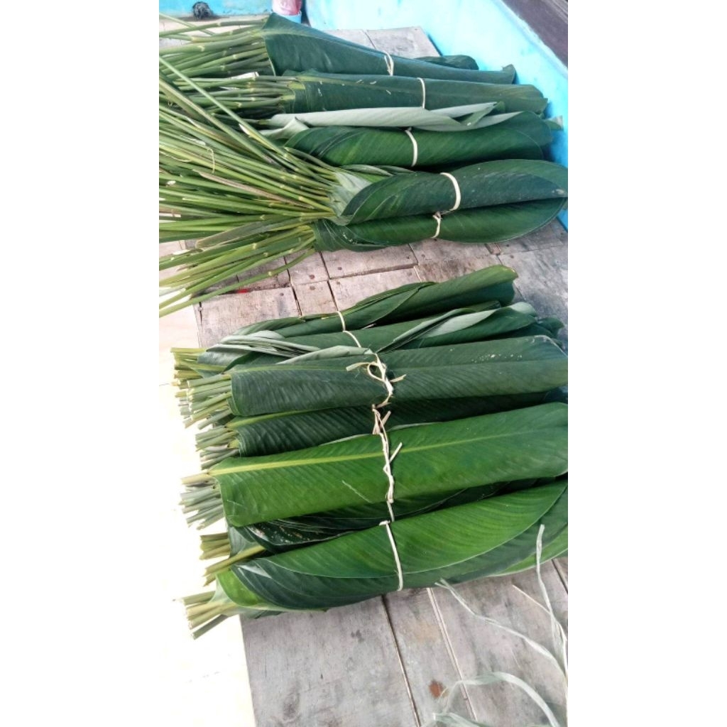 

50 lmbr daun bungkus doclang/ lontong