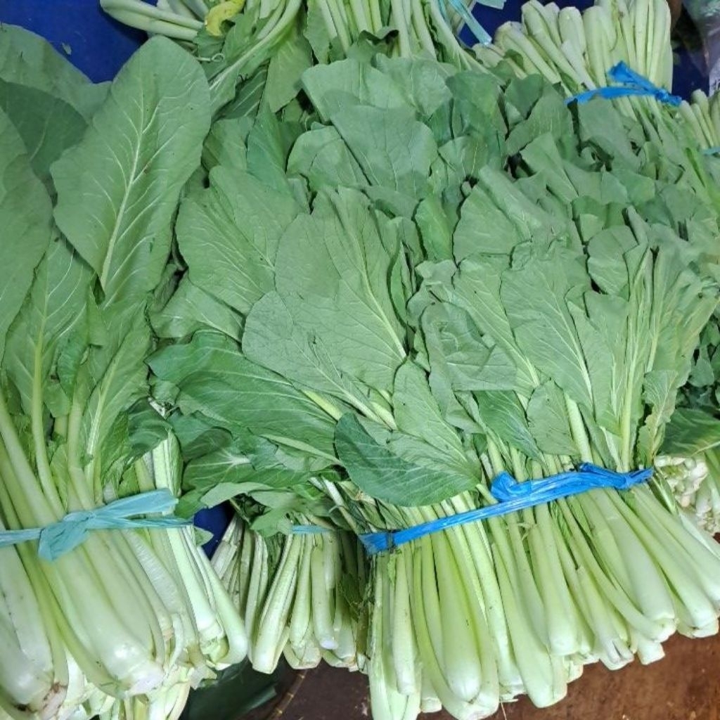 

Sawi Hijau Sosin Segar Bandung