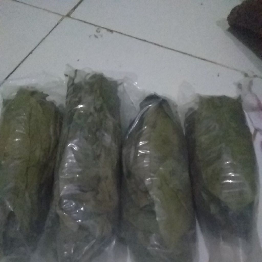 

DAuN SERSAK KIRING HASIL NGEJEMUR 50 GRM